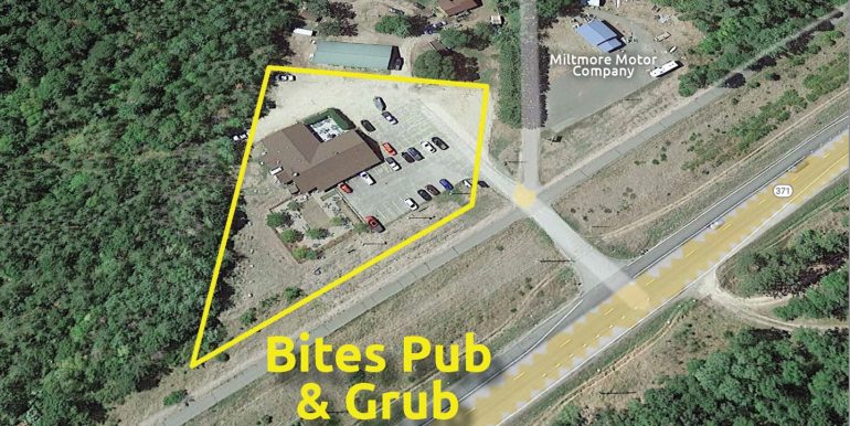 AERIAL1-bites